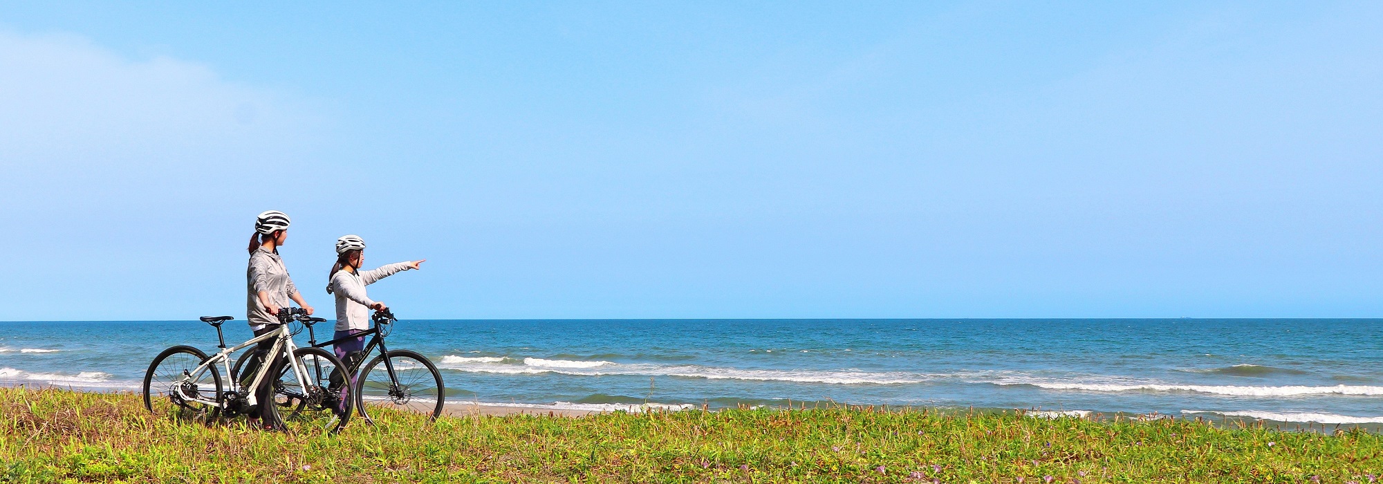 表浜海岸